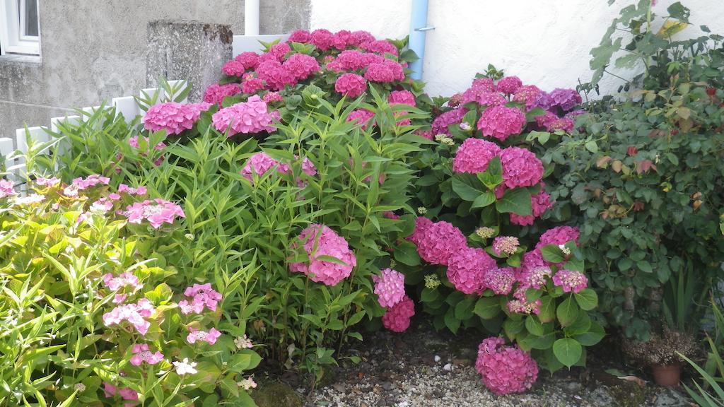 La Musardise Bed & Breakfast Guerande Exterior photo