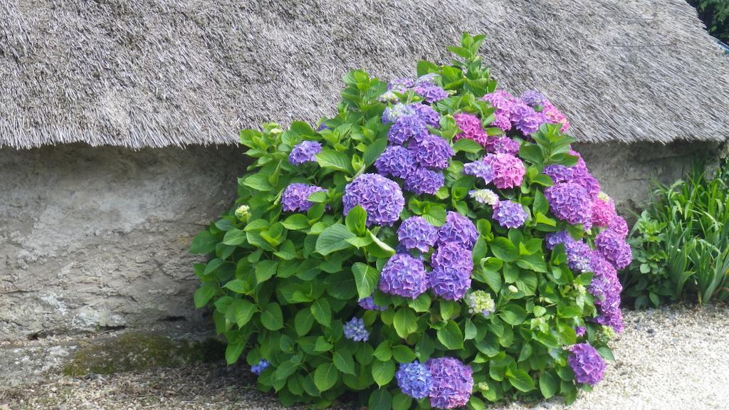 La Musardise Bed & Breakfast Guerande Exterior photo