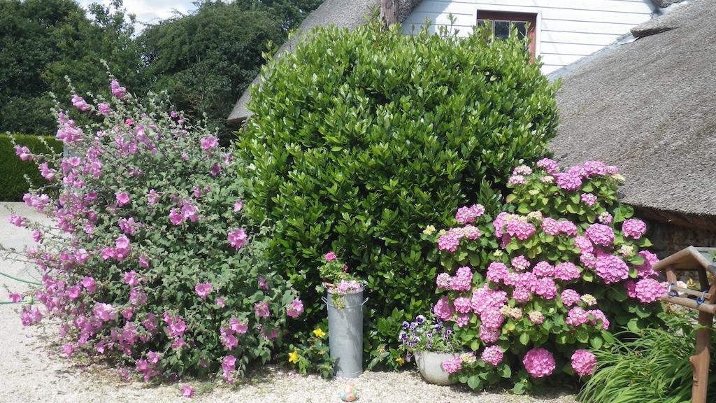 La Musardise Bed & Breakfast Guerande Exterior photo